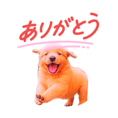 pomechiwa_20260110163934