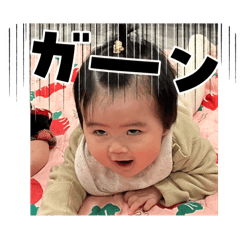 akaringo_20260110180842