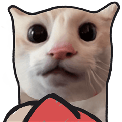 Silly Goofy Dip Catto the animated