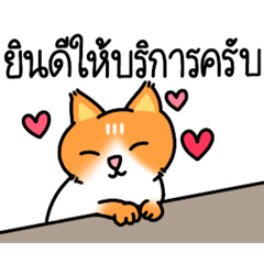 Professional services team