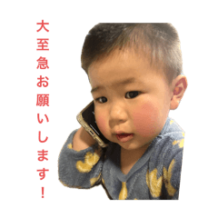 PIKA PIKA_20260110145301