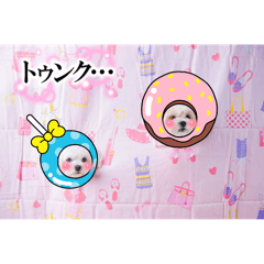 sakusakupanda_20260110150941