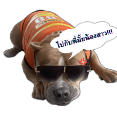 Maimeee_20260110133421