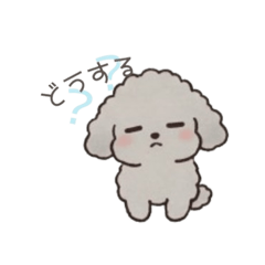 happy HANA_20260110151416