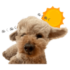 mizuki_20260110153414