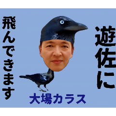 white_20260109082800