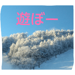 misasa_20260110183117