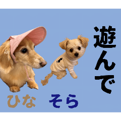 white_20260110191028