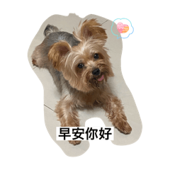 阿布布布布布布布