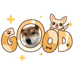 masachan_20260110161409