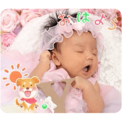 Yuka_20260110202539