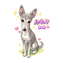 naoya_20260110170204