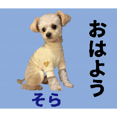 white_20260110184031