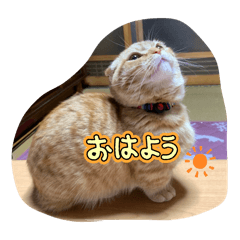 HITUJI_20260110163832