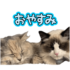 Christine_20260110183804