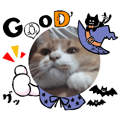 Asato_20260110183423