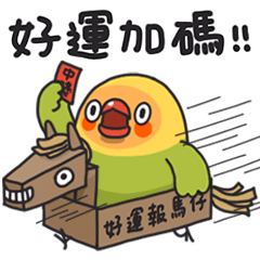 Peony parrot 21 All the best