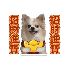 大爺可可#節日篇