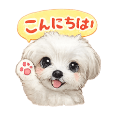 shiori_20260110181535