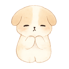 Viewncy36_20260110173728