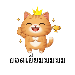 jira cat_20260110193056