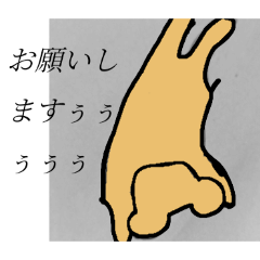 honobono_20260110174610