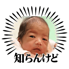 takao_20260109124057