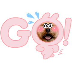 miuko_20260110231615