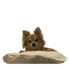 asuka_20260110231832