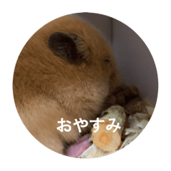 mgp_20260110221624