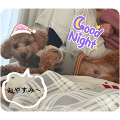 Peach72_20260110224510