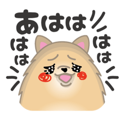 komaru works_20260110225048