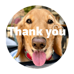 REEYA_20260110225305