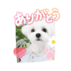 mugi_20260110201943