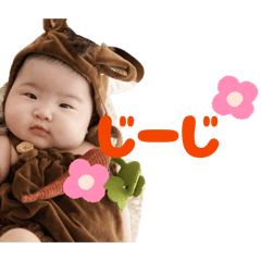 momo_20260111014534