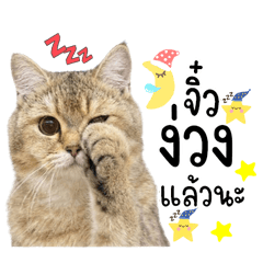 พี่น้องสามปลา V.1