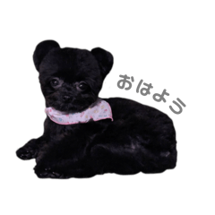 Ayuna_20260110235747