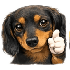 sakura_20260110220140