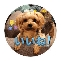 Miori_20260111083515