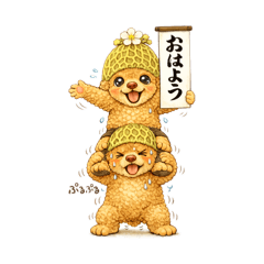 mofumimi brothers_20260111085024