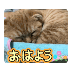 HITUJI_20260111104855