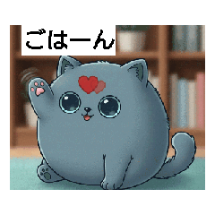 動く　猫