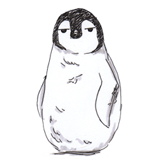 Penguin in daily life