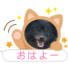 mina_20260111091814