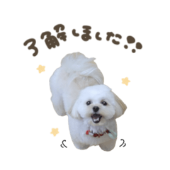 がんもくん☆スタンダード