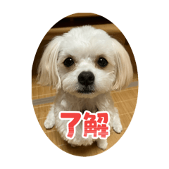 Takey_20260111092543