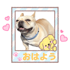 akoakoako_20260111114126