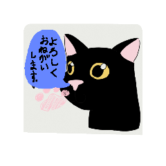 asfutjtujdu_20260111114227