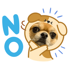 ayapon_20260111115843