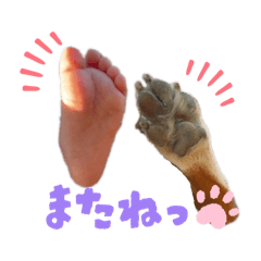 ma-chan1027_20260111130302